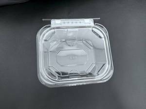 Nhựa an toàn-Tươi 16 oz. Thùng chứa bản lề hình chữ nhật Chống giả mạo, chống giả mạo với nắp phẳng-200/Vỏ - Product Image 3