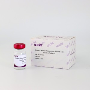 Maladie infectieuse bursale (MII) AGP Sérum positif-pour test d'immunodiffusion sur gel d'agar, titre élevé d'anticorps, norme OIE - Product Image 5