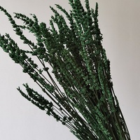 Pasokan Pabrik Bunga Lavender Diawetkan Warna-warni Alami Lavender Kering untuk Dekorasi Rumah