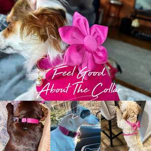 Ensemble collier et laisse pour chien en velours uni personnalisé avec nom d'animal gravé, clochette et nœud en velours pêche, livraison gratuite - Product Image 6