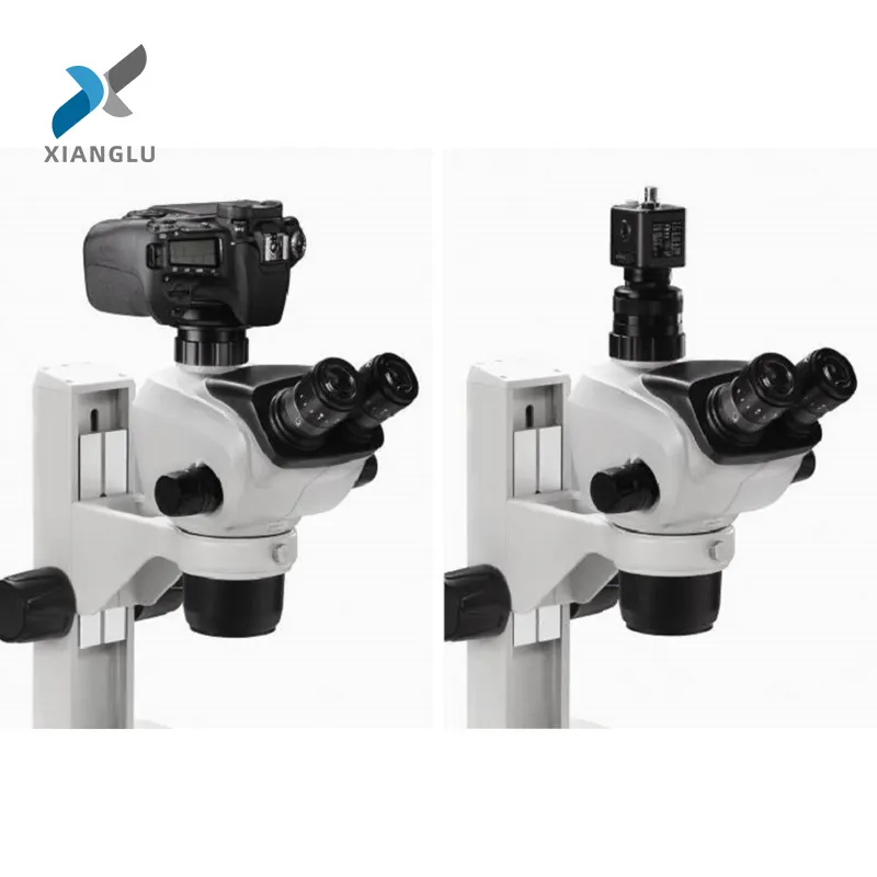XIANGLU Microscope Imagerie Filtre Fluorescence zoom stéréo Microscope Numérique pour laboratoire