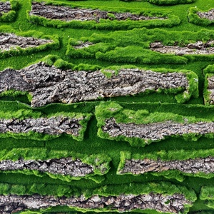 Mur d'écorce de mousse synthétique d'écorce de chêne simuler l'écorce d'arbre avec de la mousse - Product Image 2