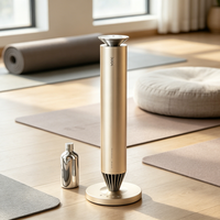 Diffuseur de parfum sans fil 3004 avec lumière d'ambiance, nébuliseur d'arômes rechargeable