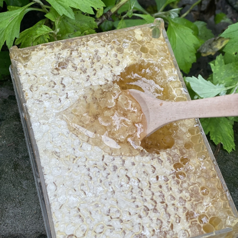 500g Raw Honeycomb Honey Natural Raw
