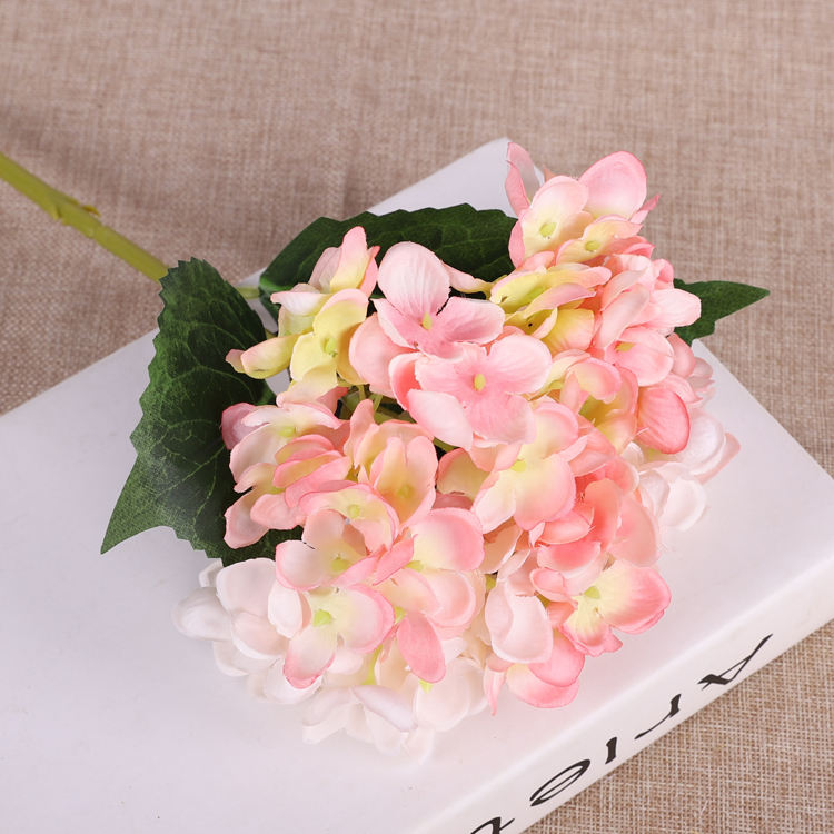 (S)สีชมพู