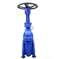 Vanne à opercule en acier moulé haute température à tige montante WCB, PN16 PN25 PN40 PN63 PN100, extrémité à bride, flexible, à opercule boulonnée