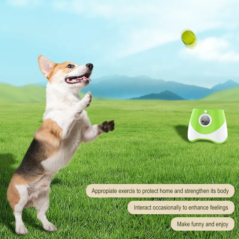 Smart ball dog toy