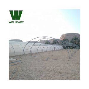 Matériau PE de grandes serres à tunnel agricole à double couche pour une culture optimale des tomates - Product Image 4