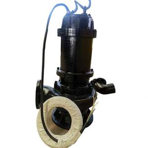 Customized 7.5hp-60hp Vertical Mud Suction Electric Wq Series <b>Submersible</b> Sewage <b>Pumps</b> - Product Image 2