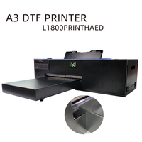 Poudre adhésive DTF, film de transfert PET, poudre thermofusible PU