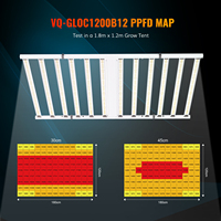 Le plus récent 1200w 12 Bar Light avec LM281B / LM301B lampe de croissance des semis à spectre complet Led élèvent la lumière pour la culture de plantes d'intérieur