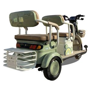 Triciclo Popular de 2 Plazas para Personas con Discapacidad, Triciclo Motorizado para Personas Mayores - Product Image 3