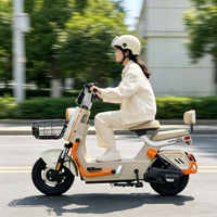 Vélo électrique à 2 roues personnalisé OEM, vélo électrique de ville à double siège avec panier pour les trajets familiaux, vente en gros