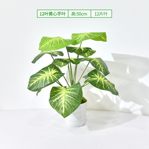 Plante artificielle de feuilles de taro Greenway 30cm-100cm, verdure en soie pour décoration intérieure, style nordique, pour maison et jardin - Product Image 2