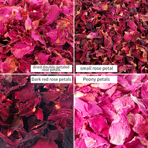 Pétalos de Rosa Roja Grandes, Secos y Naturales al por Mayor para Spa, Baño, Bombas de Baño, Cuidado de la Piel y Decoración de Bodas - Product Image 6