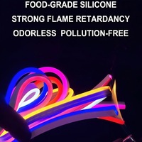 Lampu LED Neon PVC DC12V-IP68-120D-6*12MM 5M untuk Konstruksi Luar Ruangan/Dalam Ruangan dan Aplikasi Industri