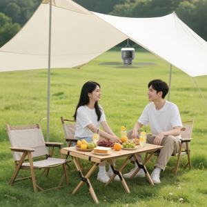 Ventilateur de camping portable 12000 mAh à chargement USB, avec lumière et télécommande, idéal pour l'extérieur et la maison – Vente directe usine - Product Image 1