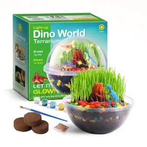 Kit de brinquedos DIY para crianças, kit de plantas e terrários, brinquedos científicos educacionais para crescer plantas, dinossauros e terrários