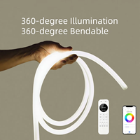 360 °   Tube lumineux néon flexible 3D, étanche IP67, DC24V, pour intérieur, extérieur, discothèque, chambre d'hôtel, maison - Vente en gros chinoise