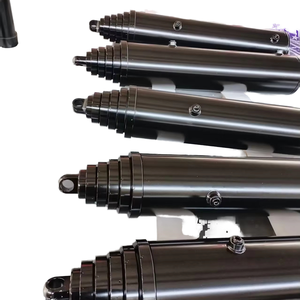 Cilindros Hidráulicos Pequeños de Doble Efecto Personalizados de Alta Calidad con Acero Cromado Duro - Product Image 6