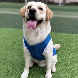 Gilet Estivo Traspirante e Leggero per <span class=keywords><strong>Cani</strong></span>, Abbigliamento Rinfrescante Natalizio per Razze Grandi come Golden Retriever, Labrador, Samoiedo, Border Collie - Product Image 6
