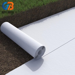 Offre Spéciale : <span class=keywords><strong>Geotextile</strong></span> Non-Tissé PP Glory Bridge 200gsm/400gsm/Personnalisé, Écologique, Garantie 5+ Ans - Product Image 3