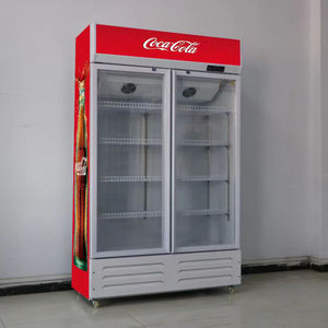 Congélateur vertical vitré pour boissons, réfrigérateur de présentation pour cola et boissons, idéal pour les magasins - Product Image 5