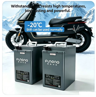 E-Bike 60V100AH Lithium-ion Battery Large-cell Power Pack for Electric Motorcycles