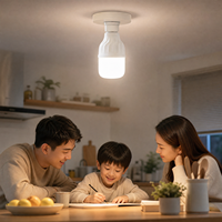Ampoules LED E27 B22 en gros 5W 10W 15W 20W 30W 40W 50W 60W 50-130lm/w Ampoule LED domestique de haute qualité
