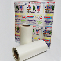Film de transfert thermique DTF INKGIANT Color Boost 30*100m 75um Double Mat Instant PET pour application d'impression textile à haute température