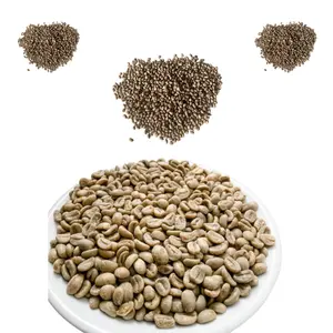 Green Arabica Coffee Beans Wash Process with 98% Maturity Organic Hot Selling Cherries Made In Vietnam Low Price Good Quality