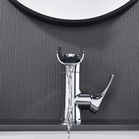 Vente en gros Robinet de lavabo chaud et froid Robinet cascade Robinets de salle de bain Robinet mitigeur de lavabo Robinet mitigeur de lavabo pour salle de bain