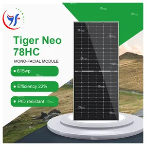 ソーラーモジュールTigerNeo Bificial Perc Jinko Pro Jiaxing Botao Solartech 600 Ntype78Hl4V595615ワットモノフェイシャルHc Tr Typ N