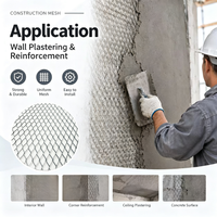 Grillage métallique galvanisé à mailles losangées pour plâtre, idéal pour la construction de murs et plafonds en plâtre