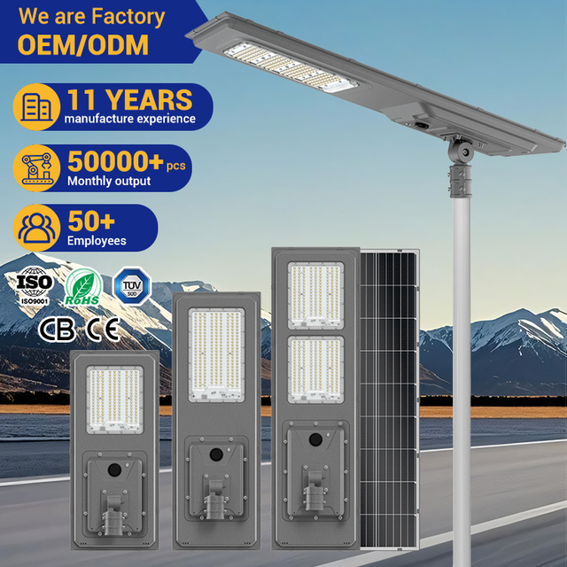 New Project Product Ip65 300W 400W 500W 160Lm 6500K 12.8V 40Ah 50Ah 60Ah Battery All in One Streetlight Led Solar Street Light