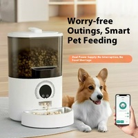 Distributeur automatique d'aliments pour animaux de compagnie AUMANN OEM/ODM, électrique, écologique, étanche IPX5, grande capacité 5L, bols en acier inoxydable pour chiens/chats
