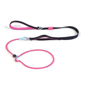 Correa para Perros de Neopreno y Poliéster, Estilo Nuevo, Duradera, Personalizada, al por Mayor, con Cadena, Correa Deslizante para Exhibición Canina con Dos Asas - Product Image 5