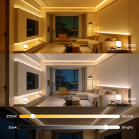 Éclairage intelligent VH SMART LIGHTING, haute luminosité, 10 mm, 608 LED/m, faible chute de tension, flexible, CCT COB 12V 24V pour la décoration de plafonds et d'armoires