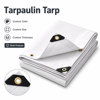 Bâche en toile Ripstop imperméable et résistante au froid, adaptée aux climats froids, protection anti-UV pour mobilier de jardin, abri contre la pluie