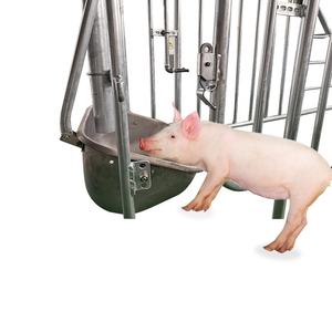 Jaula de Gestación Nueva con Garantía de Calidad, Diseño de Puerta Trasera para Cerdas, Galvanizada en Caliente, Larga Vida Útil, Uso en Granjas Porcinas, Certificación CE - Product Image 3