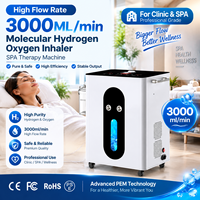 Mesin Terapi SPA Inhaler Gas Hidrogen Oksigen Molekuler CE 3000ml, Mesin Inhalasi Hidrogen Oksigen Pem 3000ml/menit