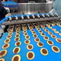 Machine de refroidissement entièrement automatique en acier inoxydable 304 pour biscuits et tartes, avec déposeur de confiture de chocolat bicolore pour farine et lait