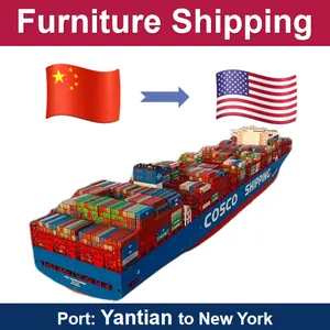 LCL DDP Fast Sea Shipping Agent COSCO vom Yantian Port Shenzhen nach New York mit Tür-zu-Tür-und Zoll abfertigung