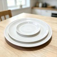 Assiettes de présentation en céramique de luxe modernes pour hôtels haut de gamme, assiettes de dîner classiques en porcelaine pour mariages et événements majeurs