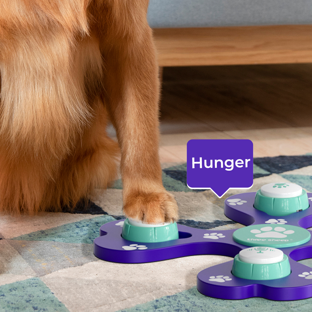 Custom Small Recordable Sound Buttons - Talking Training Cultivation Simulator for Dog Training - ES