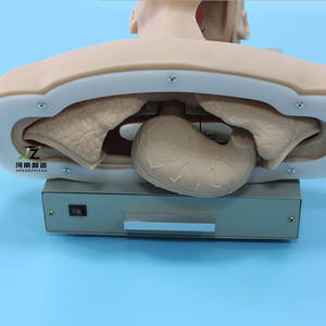 Modèle avancé d'intubation trachéale humaine adulte avec dispositif d'alarme - Product Image 6
