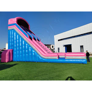 Château gonflable commercial en PVC, toboggan géant à double voie rose pour adultes, utilisation à domicile et à l'école - Product Image 4