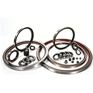 Joint d'étanchéité Maike de type TB avec coque en fer pour pompe à huile de moteur, arbre hydraulique, résistance aux hautes températures, personnalisable - Product Image 1