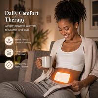 Approvisionnement direct usine : Série de Moxibustion – Autocollants chauffants au gingembre pour soulager les douleurs musculaires et dissiper le froid corporel. Prise en charge des commandes en gros.