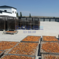 Geavanceerde technologie fruit warmtepomp droogoven abrikozen droger abrikozen dehydrator apparatuur